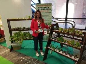 Impianto idroponico idroponica acquaponica kit sistema